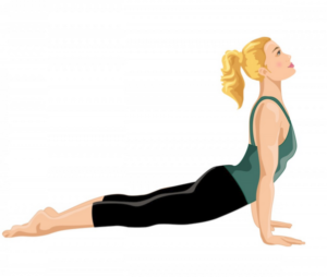 yoga exercises for beginners