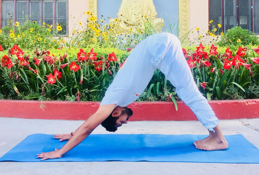 Phalakasana Dandasana suryanamaskar yoga