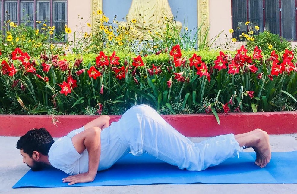 Ashtanga Namaskara yoga pose
