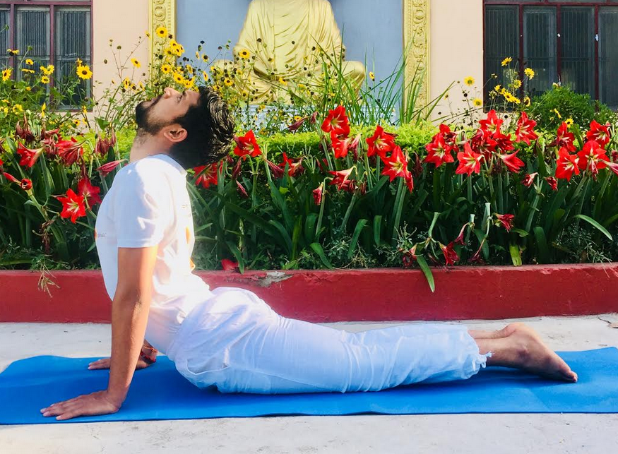 Bhujangasana yoga pose